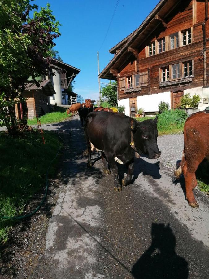 Brunners Harzerhof Daire Iseltwald Dış mekan fotoğraf